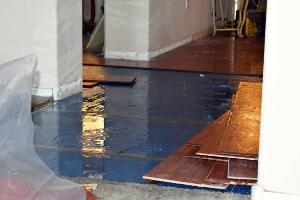 Professional Basement Flood Cleanup technician working in Montague, MI